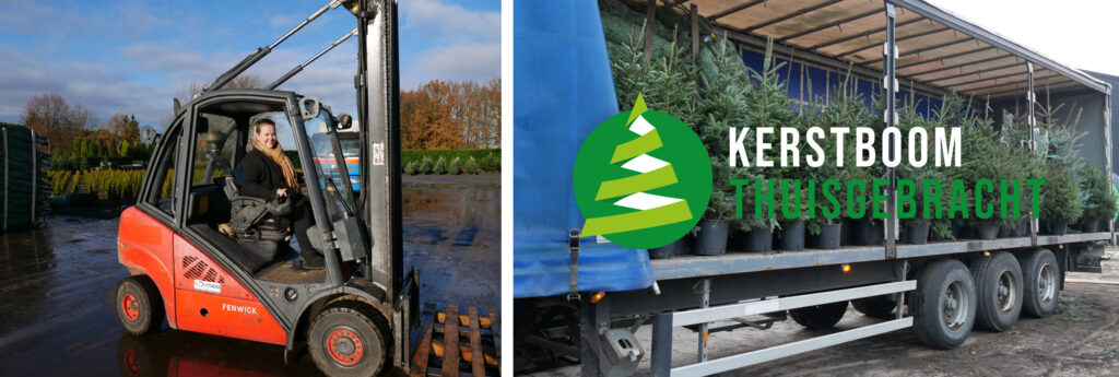 Kerstboom-thuisgebracht