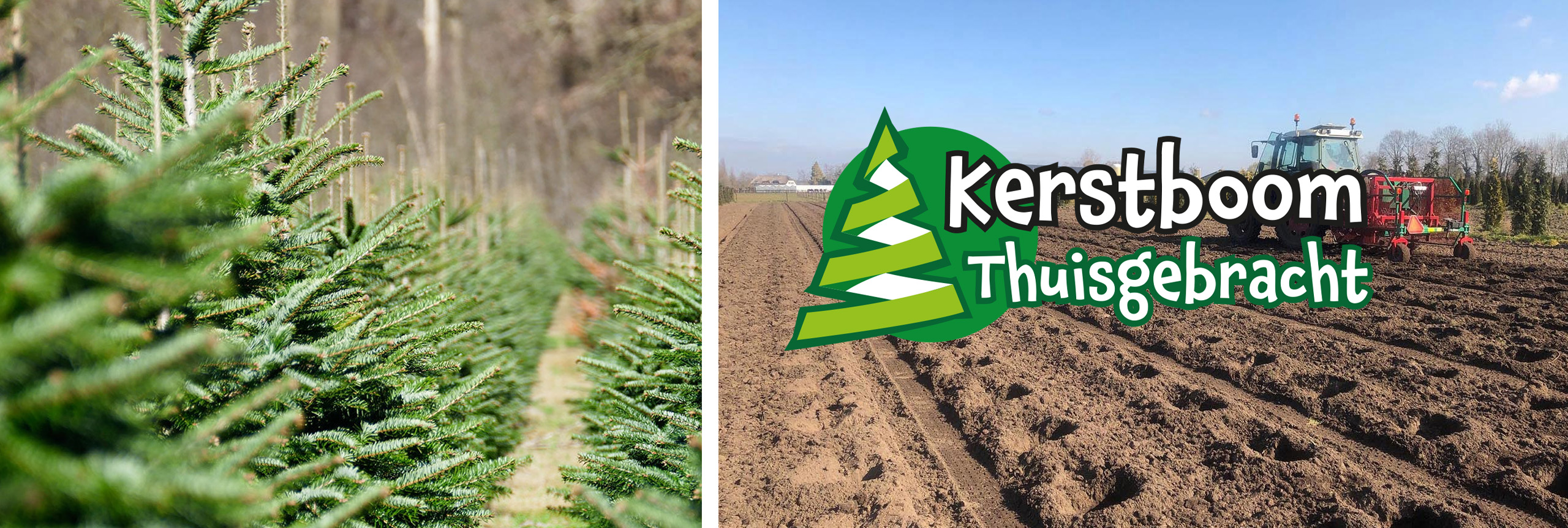 kerstbomen online kopen bij Kerstboom-thuisgebracht